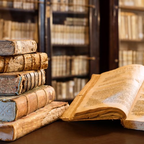 חידושי תורה