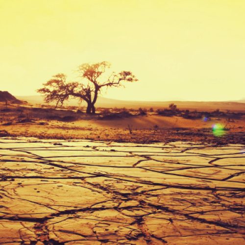 לך-לך-דניאל-עשור